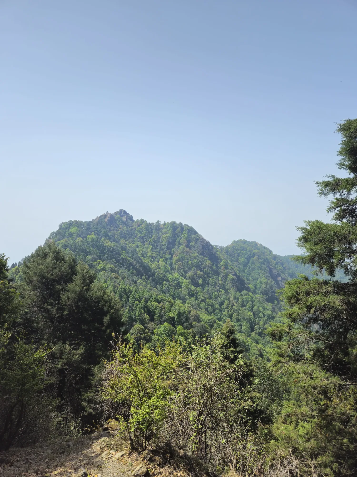 Cheena Peak Hike – Experience Nainital from Above