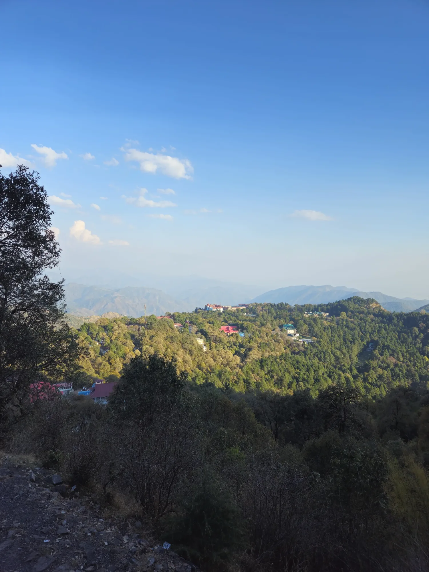 Forest Walk to Ayarpata Hill