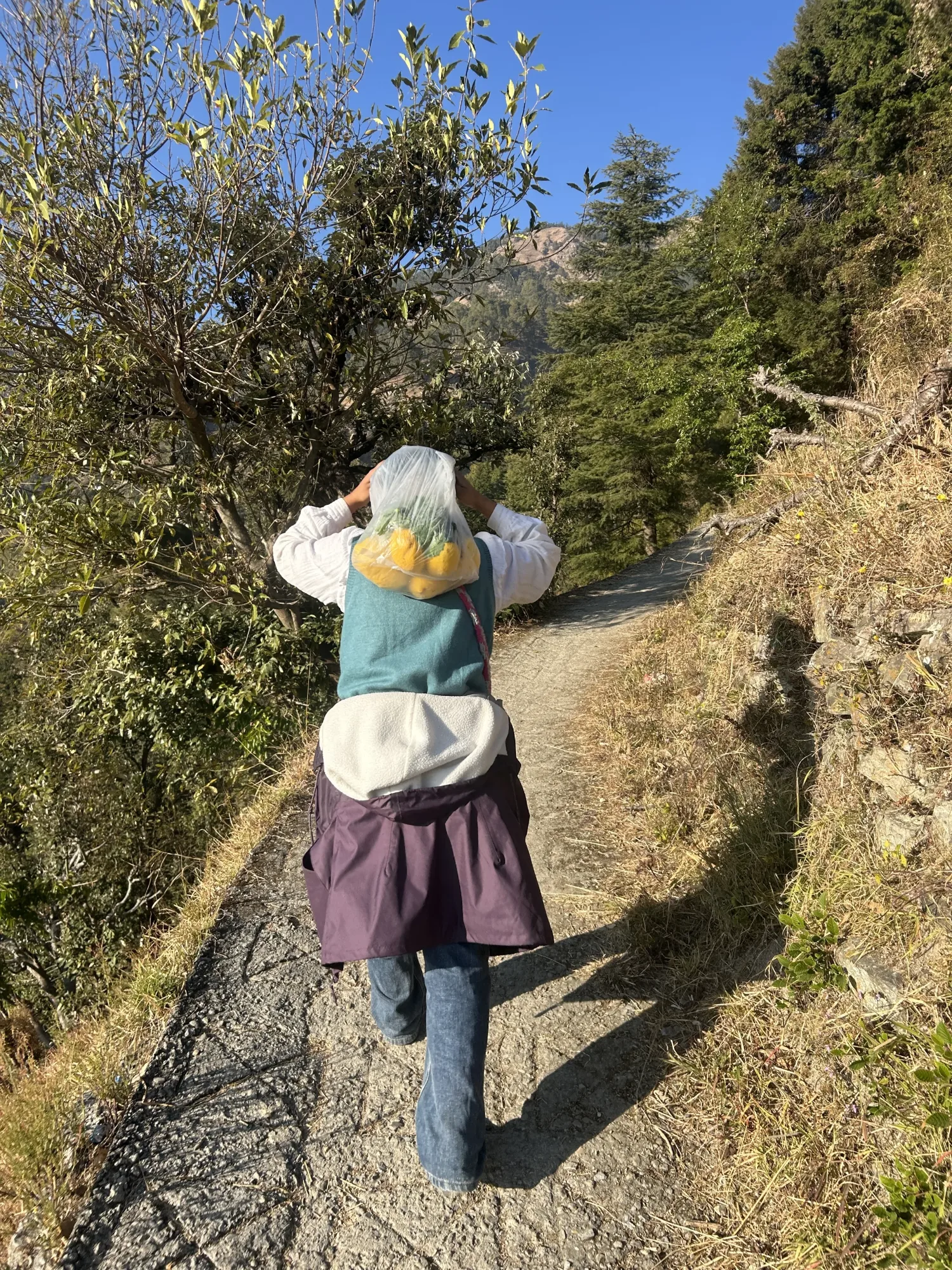 Village Walk with local craft artisans