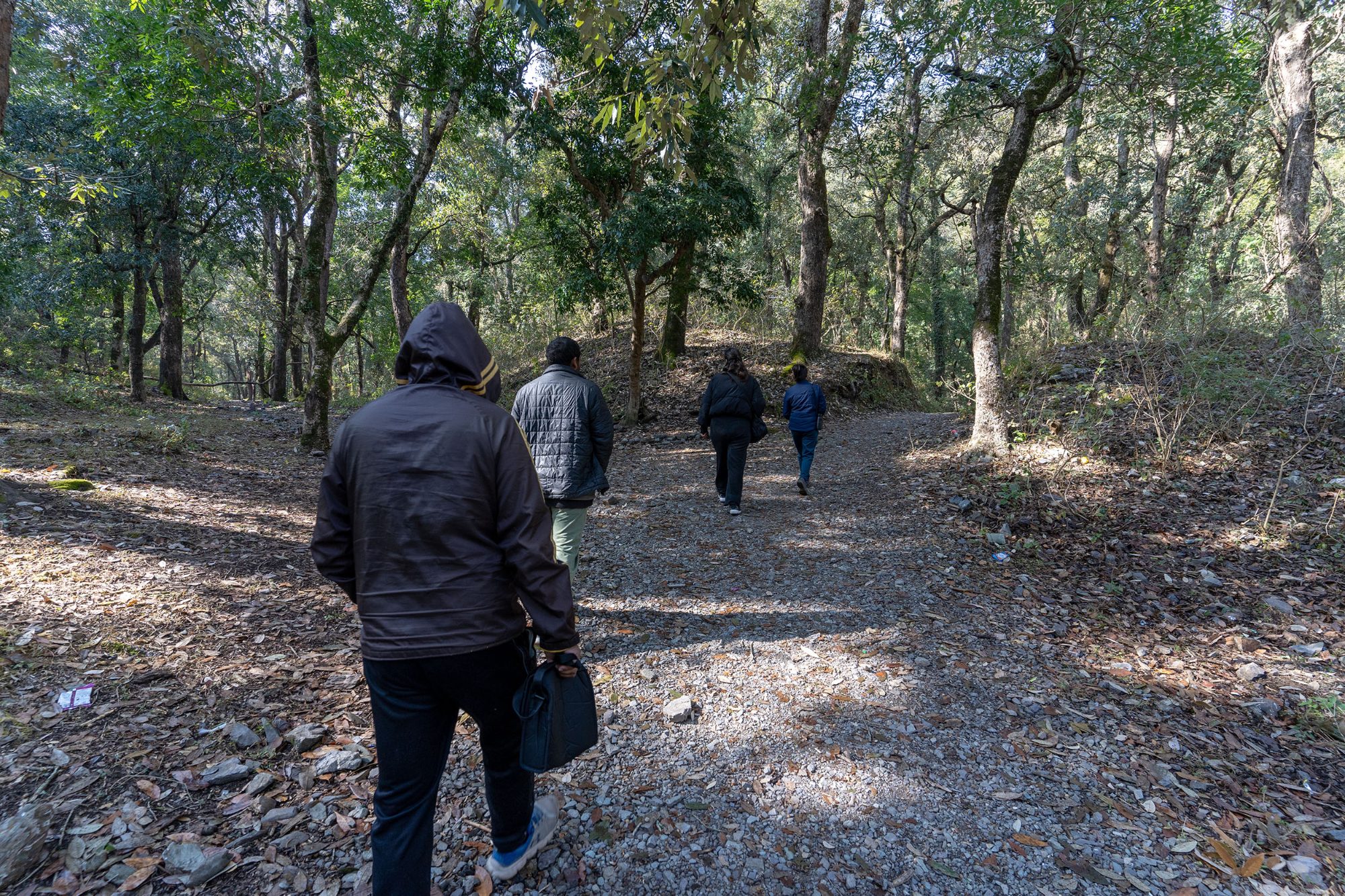 Sattal Biodiversity Walk - Full Day Excursion