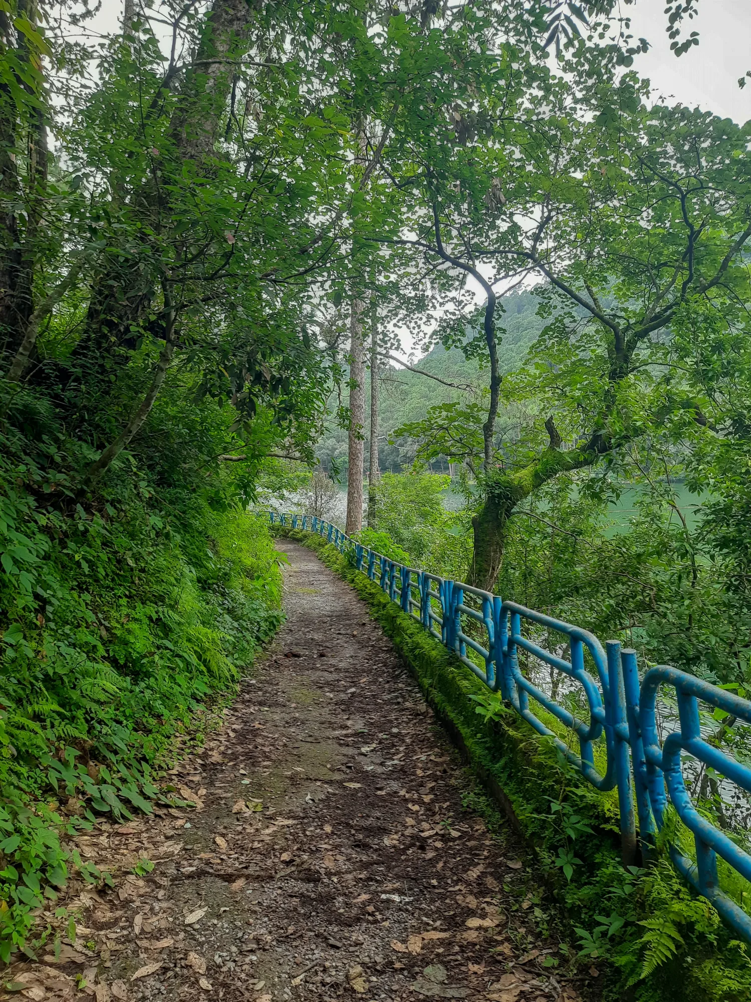 Enjoy the serene natural surroundings.